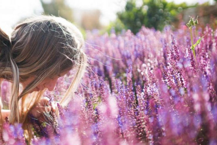 What is the best aromatherapy for anxiety?